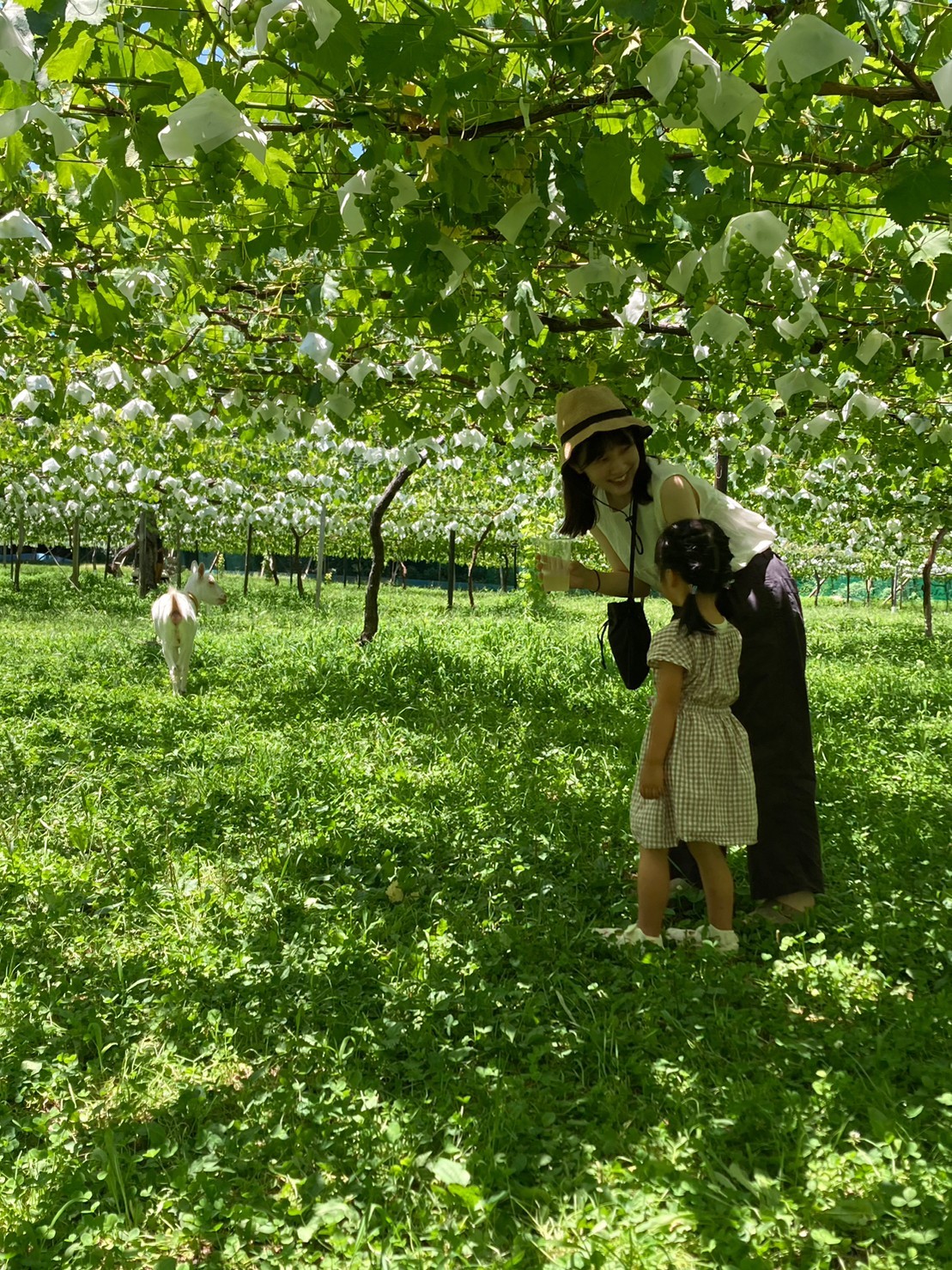 当社が大切にしてきたこと